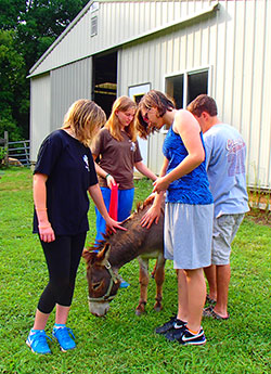 In this July 2, 2013, photo, campers at Anderson Woods enjoy petting a donkey, one of many farm animals at the southern Indiana camp for those with special needs. (Submitted photos by Karen Mangum)