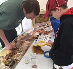 A student examines a honey comb under a microscope during an educational event May 15 at the Southwest Conservation Club. Experiential learning is the hallmark of the organization’s programming.