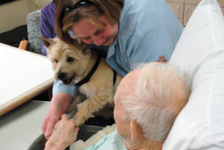 Darlene Gosnell uses special dogs to bring joy and comfort to patients through the pet ministry program at St. Vincent Hospital in Indianapolis. (Photo by John Shaughnessy)