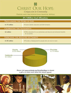 Click on the chart above to see a larger version of how the funds given to the Christ Our Hope appeal are used.