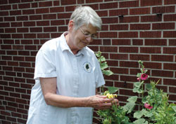 Even in the tough times of life, Benedictine Sister Angela Jarboe finds touches of faith, hope and promise in caring for flowers. (Photos by John Shaughnessy)