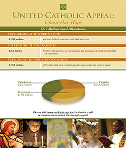 The image above shows the goal for the United Catholic Appeal, and how the money raised will be spent. Click the image for a larger version.