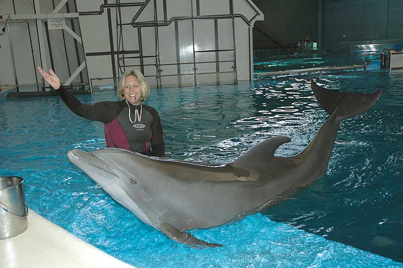 indianapolis zoo dolphin dome