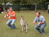 Youth and kangaroo