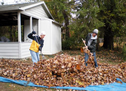 John Cecil, a junior at Indiana University, left, and Marco Regoli, a sophomore at Bloomington South High School, rake leaves in Frank and Lucille Albert’s backyard in Bloomington on Nov. 8. “Labor of Love” is an outreach program sponsored by St. Charles Borromeo Parish in Bloomington, where high school and college students volunteer their services to help older people. (Photo by Mike Krokos) 