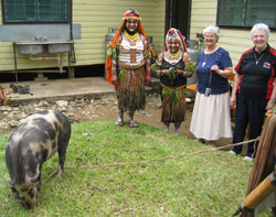 New Guinea women dressed in grass skirts and tribal head-dresses present a pig to Sister Barbara Piller, second from right, and Sister Maureen Mahon, right, during their visit to Mendi in October to mark the Oldenburg Franciscans’ five decades of missionary service in Papua New Guinea. (Photo courtesy of Sisters of St. Francis)