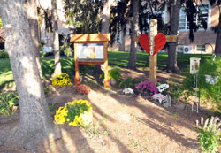 Ten pine trees form a circle around the new Garden of Comfort and Life at St. Michael the Archangel Parish, 3354 W. 30th St., in Indianapolis. The pro-life memorial also features an image of Our Lady of Guadalupe, and her words of comfort to St. Juan Diego. (Photo by Mary Ann Garber)
