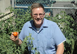 Father Michael O’Mara celebrates the first tomato of the season from his small garden near the rectory of St. Mary Parish in Indianapolis. The pastor believes his garden serves as a bridge to help him connect even more with parishioners. (Photo by John Shaughnessy)