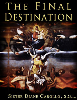 Cover of the book, The Final Destination