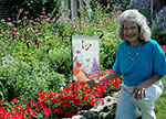 Butterfly garden
