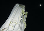 Eclipse and statue of Mary