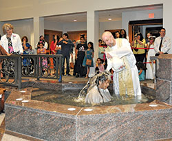 Father Todd Goodson baptizes Guadalupe Vasquez on April 15, 2017, during a celebration of the Easter Vigil at St. Monica Church in Indianapolis. The Indianapolis West Deanery faith community annually welcomes dozens of children into the full communion of the Church through the Rite of Christian Initiation of Adults adapted for children. (Submitted photo)
