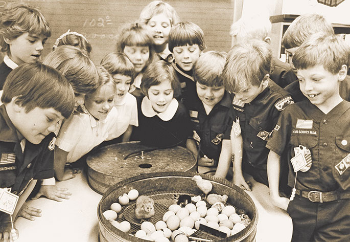 In this photo, third-grade students at Holy Family School in New Albany watched baby chicks hatch from eggs. The students studied the life cycle of chickens and had been monitoring the eggs during their 21-day incubation period. This photo originally appeared in The Criterion on April 27, 1984.