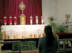 A woman prays before the Blessed Sacrament on May 30, 2019, at the Divine Mercy Perpetual Adoration Chapel at St. Michael the Archangel Parish in Indianapolis. Beginning on Feb. 2, people in perpetual adoration chapels around the archdiocese will pray rosaries around the clock for vocations to the priesthood and religious life. (Photo by Natalie Hoefer)