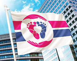 Nanda Gasperini, a pro-life graphic artist in São Paulo, Brazil, designed this pro-life flag, seen in this undated photo. It was selected in an online vote in mid-July as the international symbol of the pro-life movement. (CNS photo/courtesy Pro-Life Flag Project)