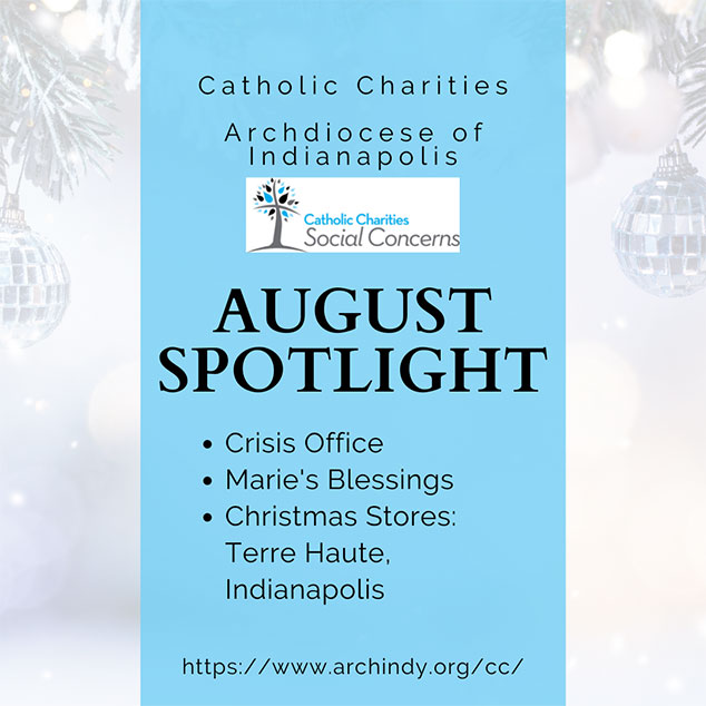August spotlight item